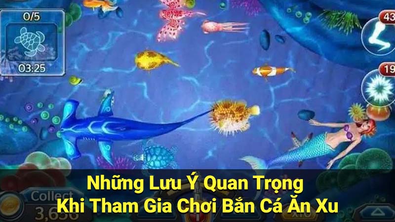 Những Lưu Ý Quan Trọng Khi Tham Gia Chơi Bắn Cá Ăn Xu