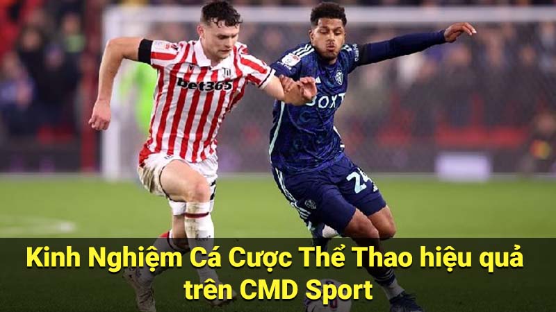 CMD Sport - Nền tảng Cá cược Thể thao Trực tuyến Uy tín 3 Kinh Nghiệm Cá Cược Thể Thao hiệu quả trên CMD Sport