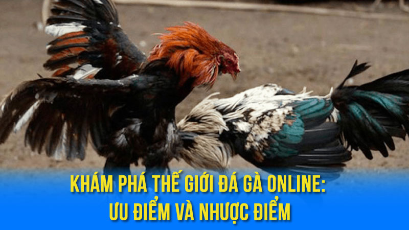 Khám Phá Thế Giới đá gà online: Ưu Điểm Và Nhược Điểm