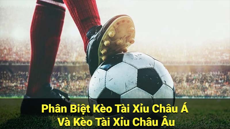 Kèo Tài Xỉu: Các loại kèo phổ biến & cách xác định Tài Xỉu 4 Phân Biệt Kèo Tài Xỉu Châu Á Và Kèo Tài Xỉu Châu Âu