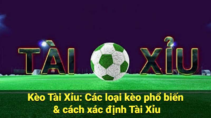 Kèo Tài Xỉu: Các loại kèo phổ biến & cách xác định Tài Xỉu 1 keo tai